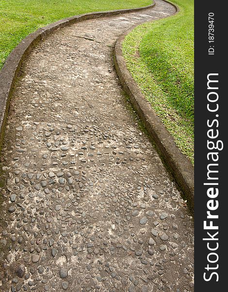 Curved path through green grass field