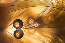 MARBLE AND FEATHER Stock Image MARBLE AND FEATHER Stock Image