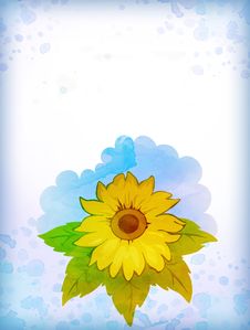 Drawing Of Sunflower Royalty Free Stock Photo