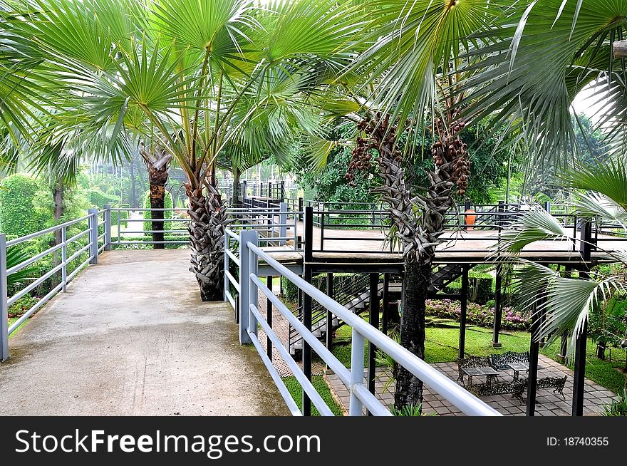 Sky walk way in garden. Sky walk way in garden