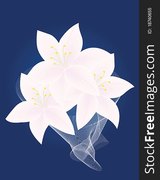 Darkly dark blue background with the bouquet of white lilies