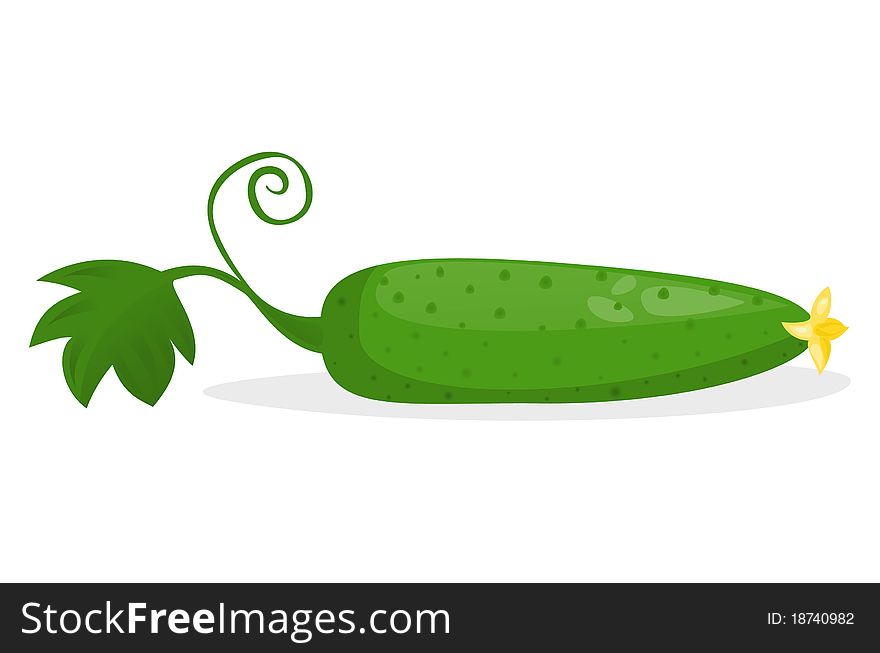 Vector illustration: cucumber with flower and leaf.