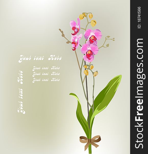 Greeting card with a orchid