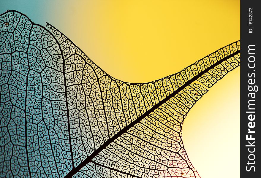 DECORATIVE LEAF