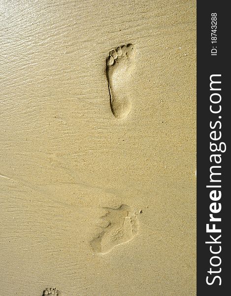 Footprints on the sands of the sea.