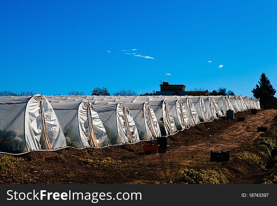 Greenhouses in Sicily. The transparent walls and roof of these sicilian greenhouses are made of plastic instead of glass. Greenhouses in Sicily. The transparent walls and roof of these sicilian greenhouses are made of plastic instead of glass