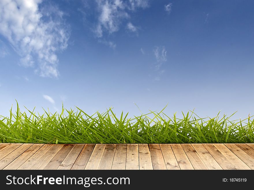 Flooring with grass and blue sky.