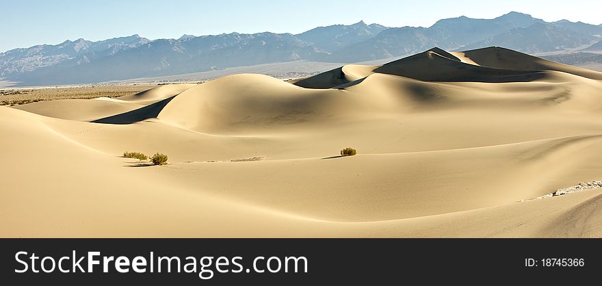 The dunes of Death Valley National Park seem to stretch on forever. The dunes of Death Valley National Park seem to stretch on forever.