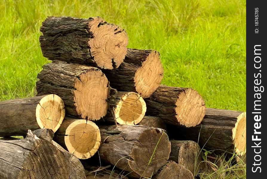 Pile of timber logs cut with chainsaw ready for firewood. Pile of timber logs cut with chainsaw ready for firewood