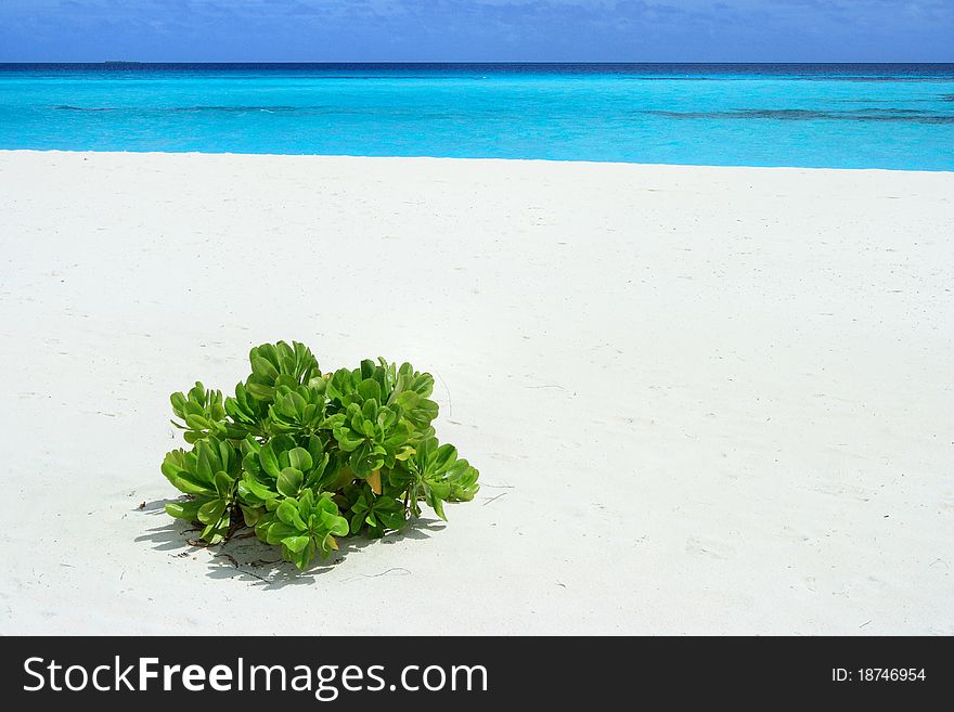 Bungalows in the Island of Kuredu in Maldives. Bungalows in the Island of Kuredu in Maldives