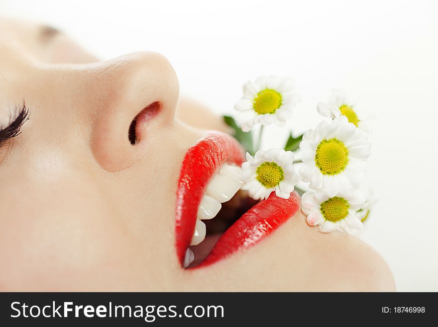 Closeup shot of beautiful girl with daisies on her lips. Macro. Closeup shot of beautiful girl with daisies on her lips. Macro