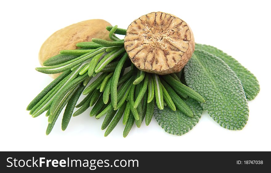 Sage, nutmeg and rosemary close up. Sage, nutmeg and rosemary close up