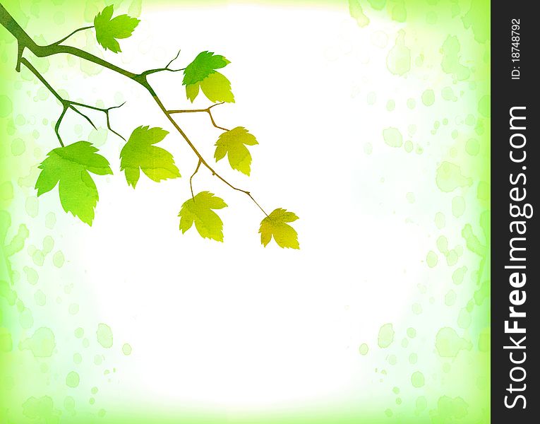 Green Background With Leaves