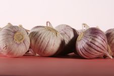 Garlic Solo Royalty Free Stock Image Garlic Solo Royalty Free Stock Image