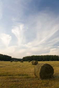 Haystacks On The Field Royalty Free Stock Photography Haystacks On The Field Royalty Free Stock Photography