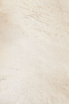 Fox Skin Close-up 4 Suede | Texture Royalty Free Stock Photo