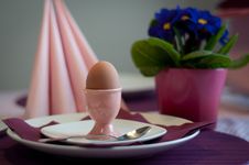 Boiled Egg Stock Photos