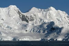 Cuverville Island Antarctica 11 Royalty Free Stock Image