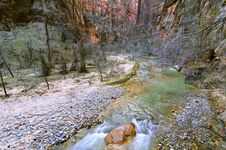 Zion National Park (Utah, Usa) Royalty Free Stock Photo