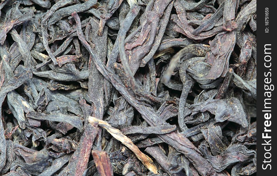 Black tea closeup