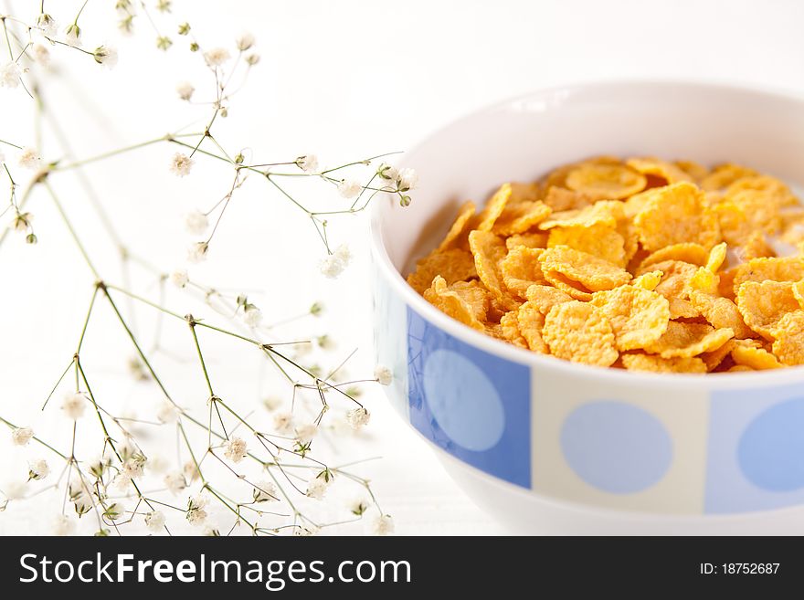 A bowl of corn flakes with milk. A bowl of corn flakes with milk