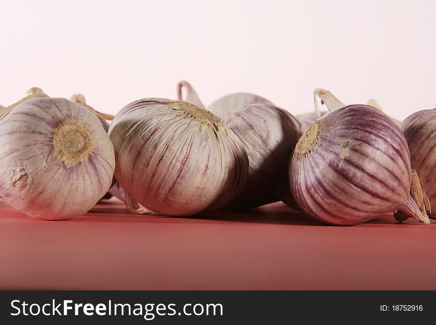 Garlic Solo
