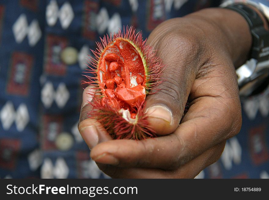 Lipstick fruit shown in a hand