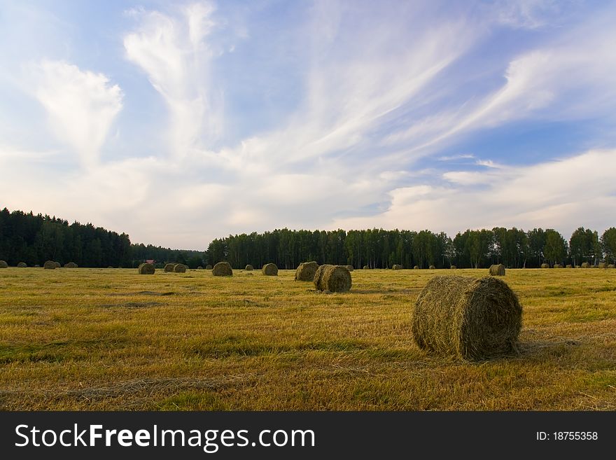 Haystacks on the field with cloudy sky