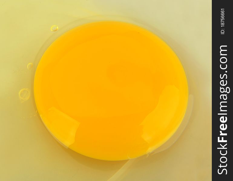 Close-up raw broken egg background. Close-up raw broken egg background