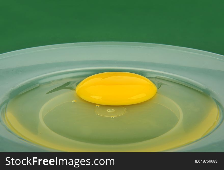 Raw broken egg isolated on plate. Raw broken egg isolated on plate