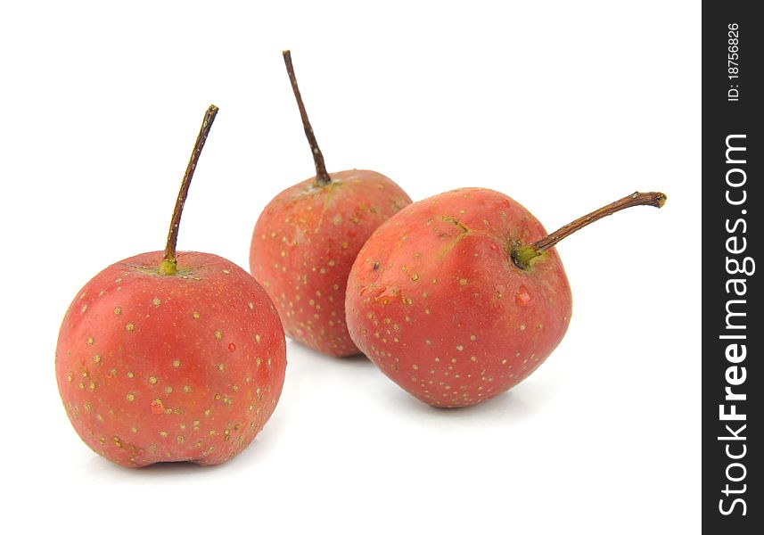 Few haw berries isolated on the white background