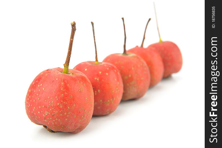 Few haw berries isolated on the white background