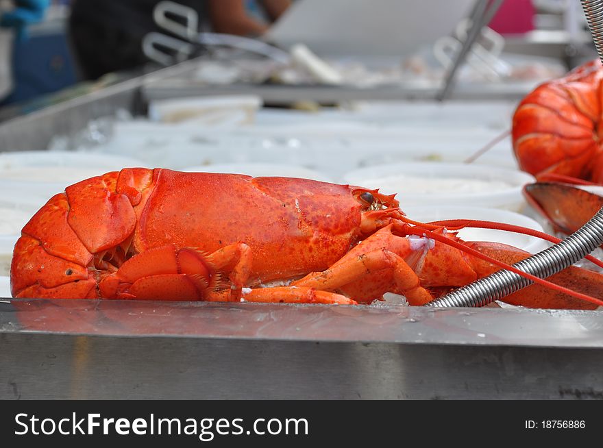 Lobsters for sale at the Union Square Farmer's Market in NY