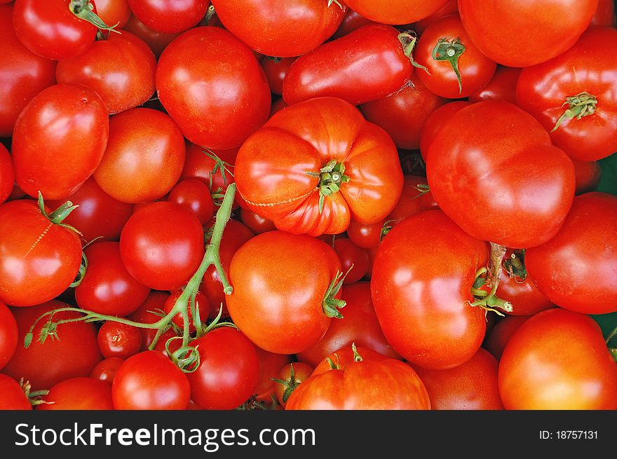 Fresh Red Tomatoes