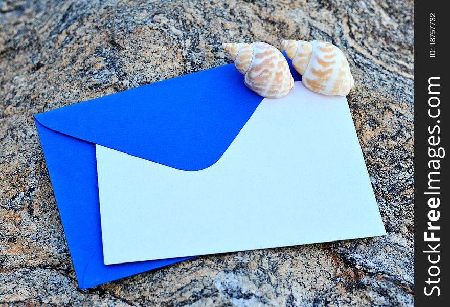 Blank card and conch background