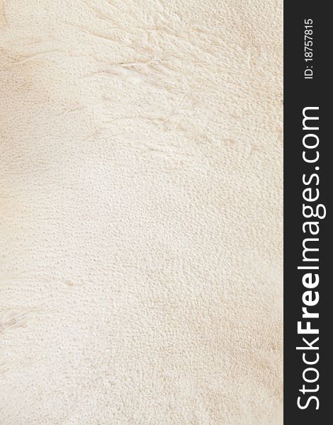 Soft beige leather of the two yeared fox. Textured background. Soft beige leather of the two yeared fox. Textured background