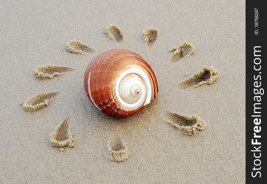 Sand beach conch sun's mark