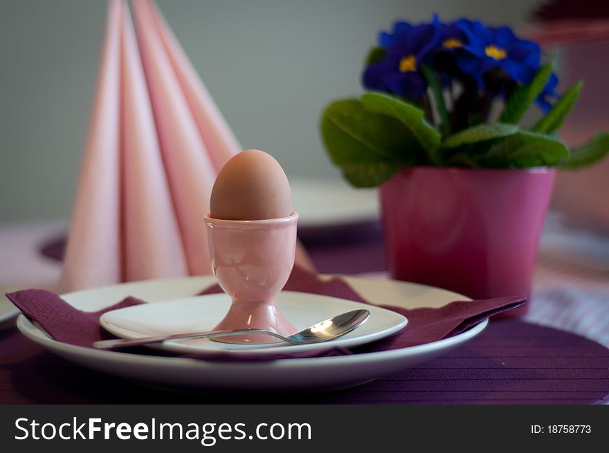 Boiled egg for breakfast in pink, violet and white color with primrose