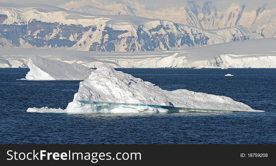 Cuverville Island in Antarctica peninsula. Cuverville Island in Antarctica peninsula