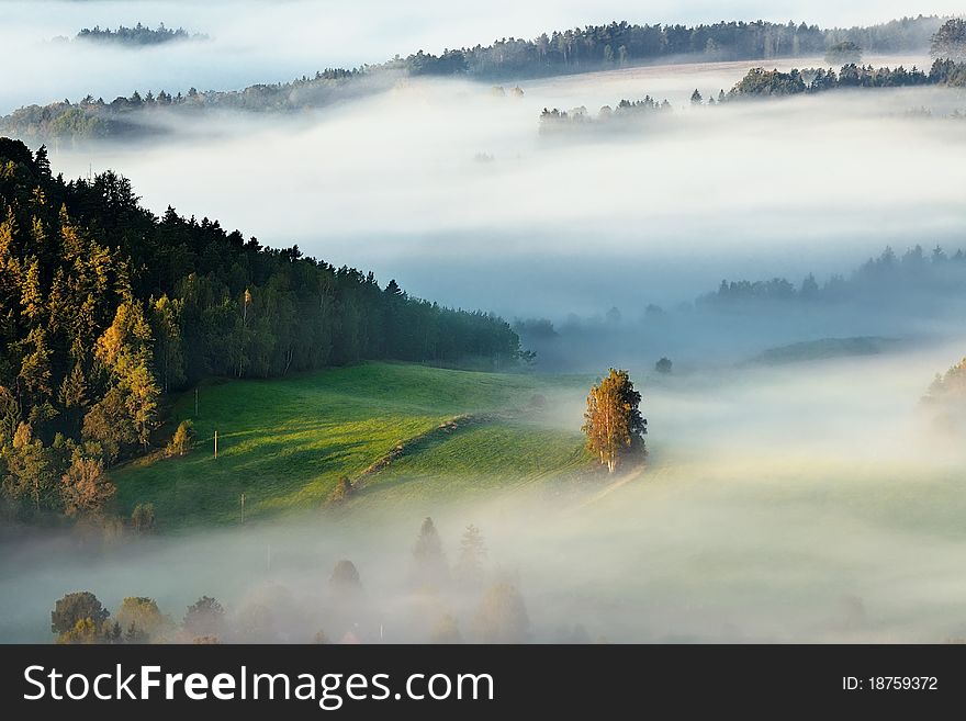 Foggy valley in Czech Switzerland. Foggy valley in Czech Switzerland