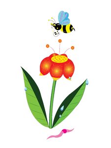 Bumblebee And A Flower. Stock Image