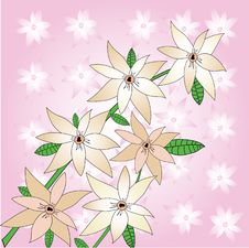 Sacura Flowers Background Royalty Free Stock Photo Sacura Flowers Background Royalty Free Stock Photo