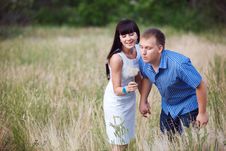 Couple With Dandelion Stock Images Couple With Dandelion Stock Images