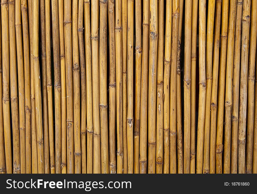 Yellow little bamboo trunks were in line by nails and arranged in fencing form. Yellow little bamboo trunks were in line by nails and arranged in fencing form.