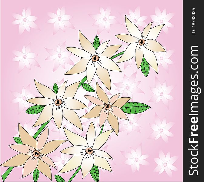 Sacura flowers on pink flowers background. Sacura flowers on pink flowers background