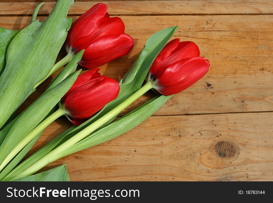 Red tulips on wooden background