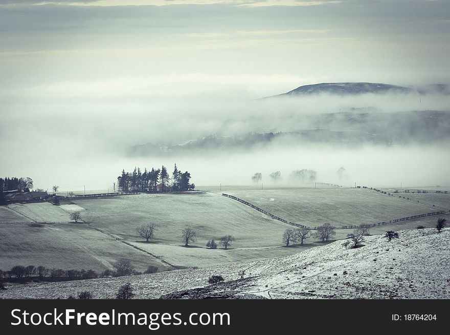 Hilly agricultural landscape during a winter fog. Hilly agricultural landscape during a winter fog.