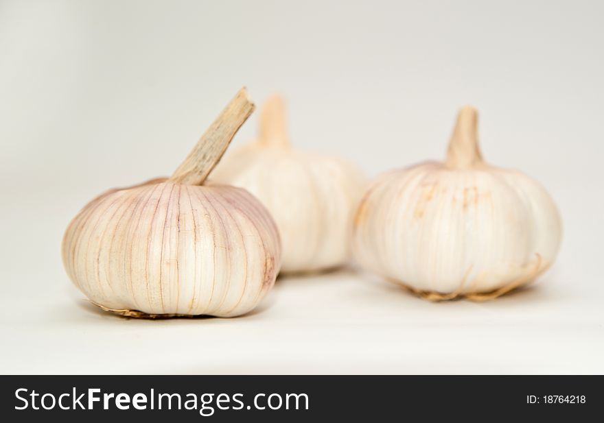 Fresh garlic bulb isolated on white background. Fresh garlic bulb isolated on white background