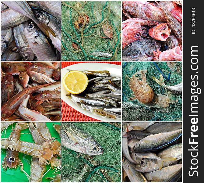 Fresh mediterranean fish to send. Fresh mediterranean fish to send