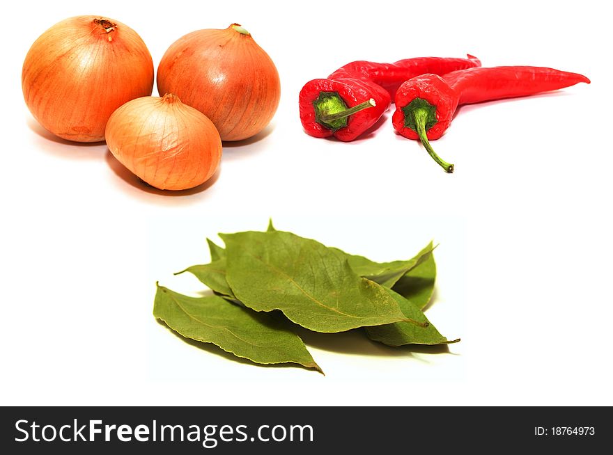 Photo of the spices on white background